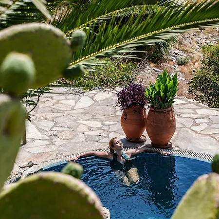 Gaia Temple Of Silence *